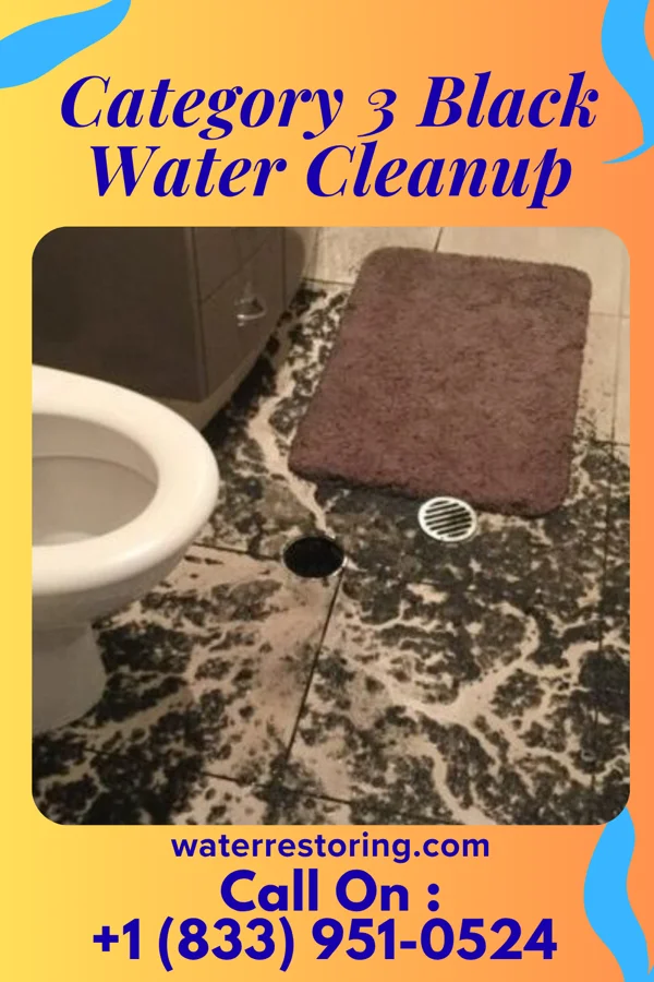 Category 3 Black Water Cleanup in Treasure Lake, PA