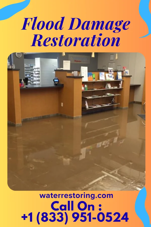 Flood Damage Restoration in Treasure Lake, PA