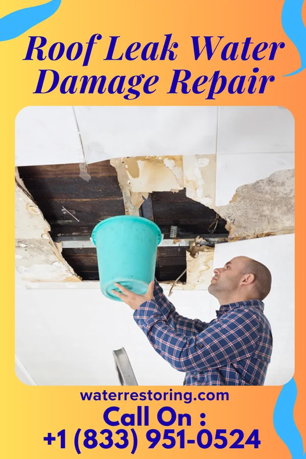 Roof Leak Water Damage Repair in Treasure Lake, PA